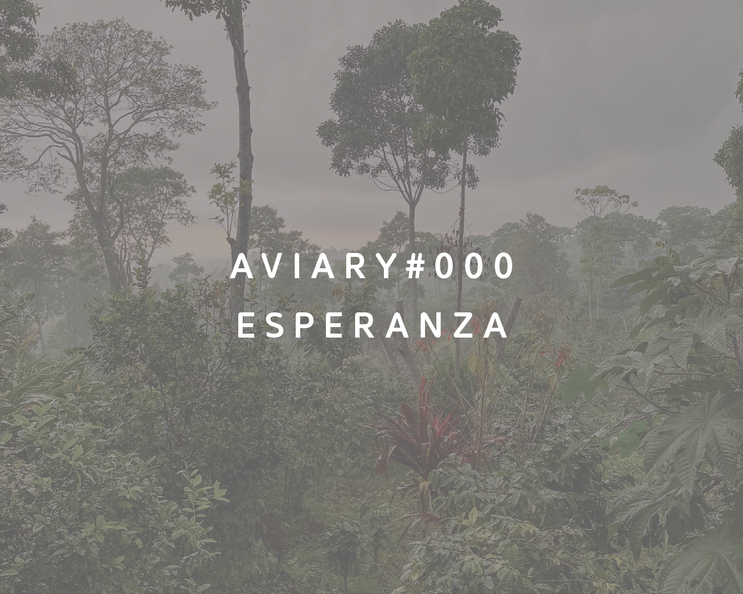 Finca Esperanza packshot