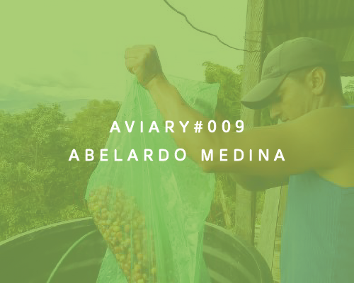 009 - Abelardo Medina