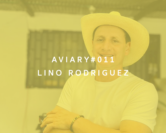 011 - Lino Rodriguez