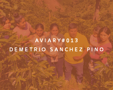 013 - Demetrio Sanchez Pino packshot