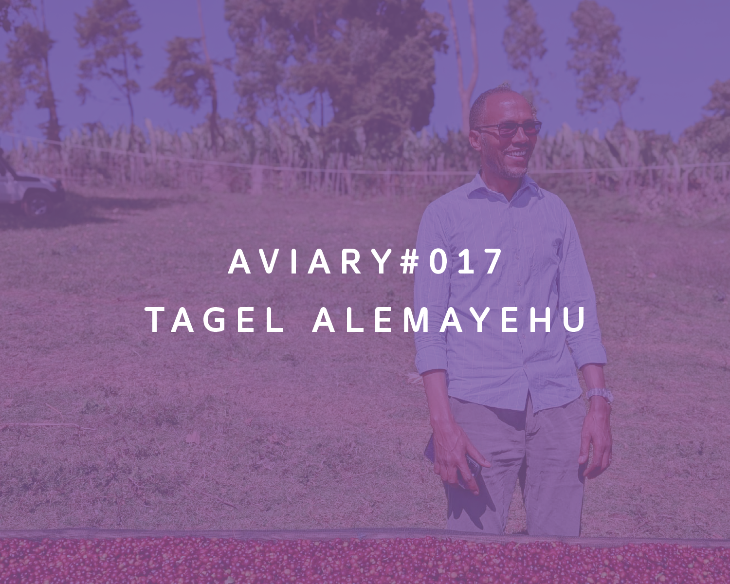 Tagel Alemayehu packshot