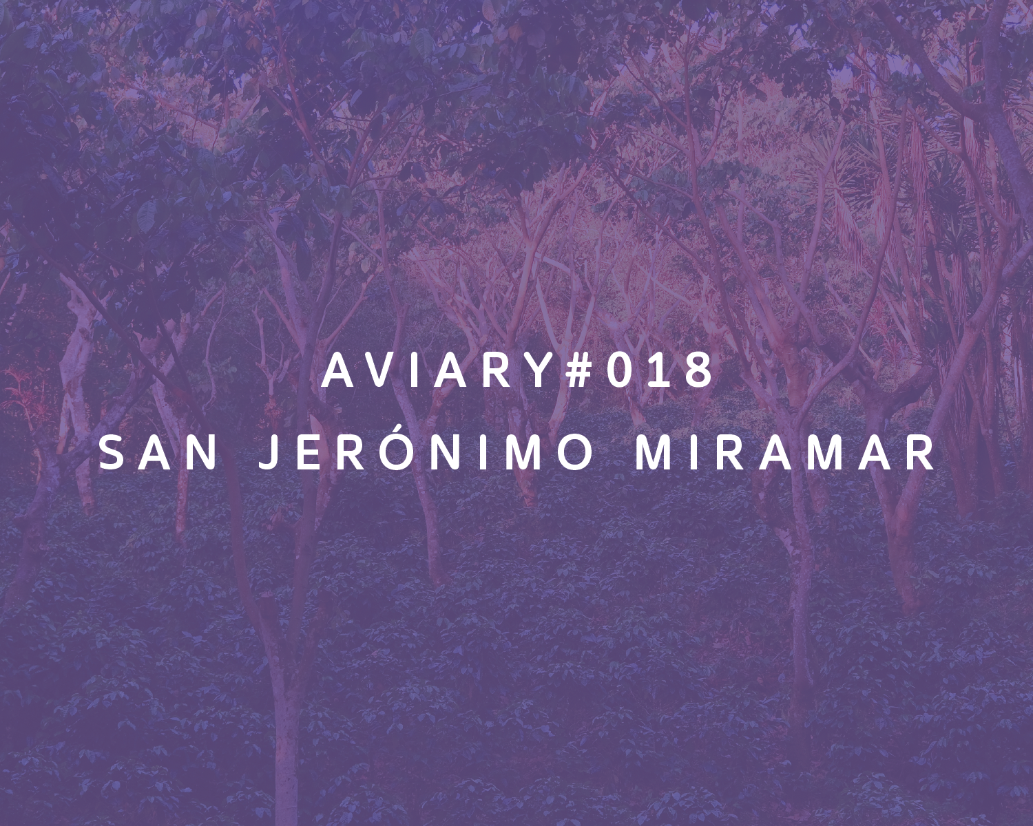 San Jerónimo Miramar packshot