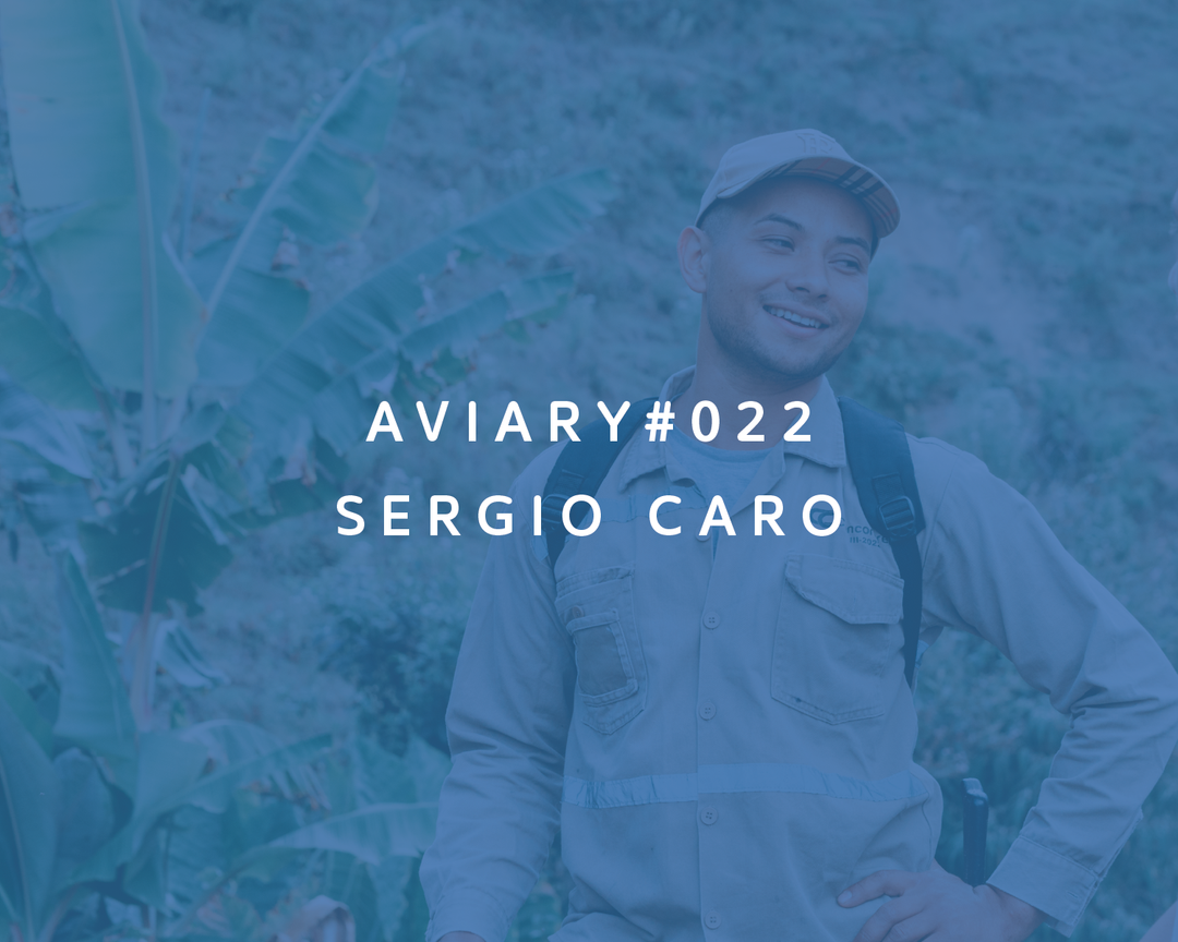 022 - Sergio Caro