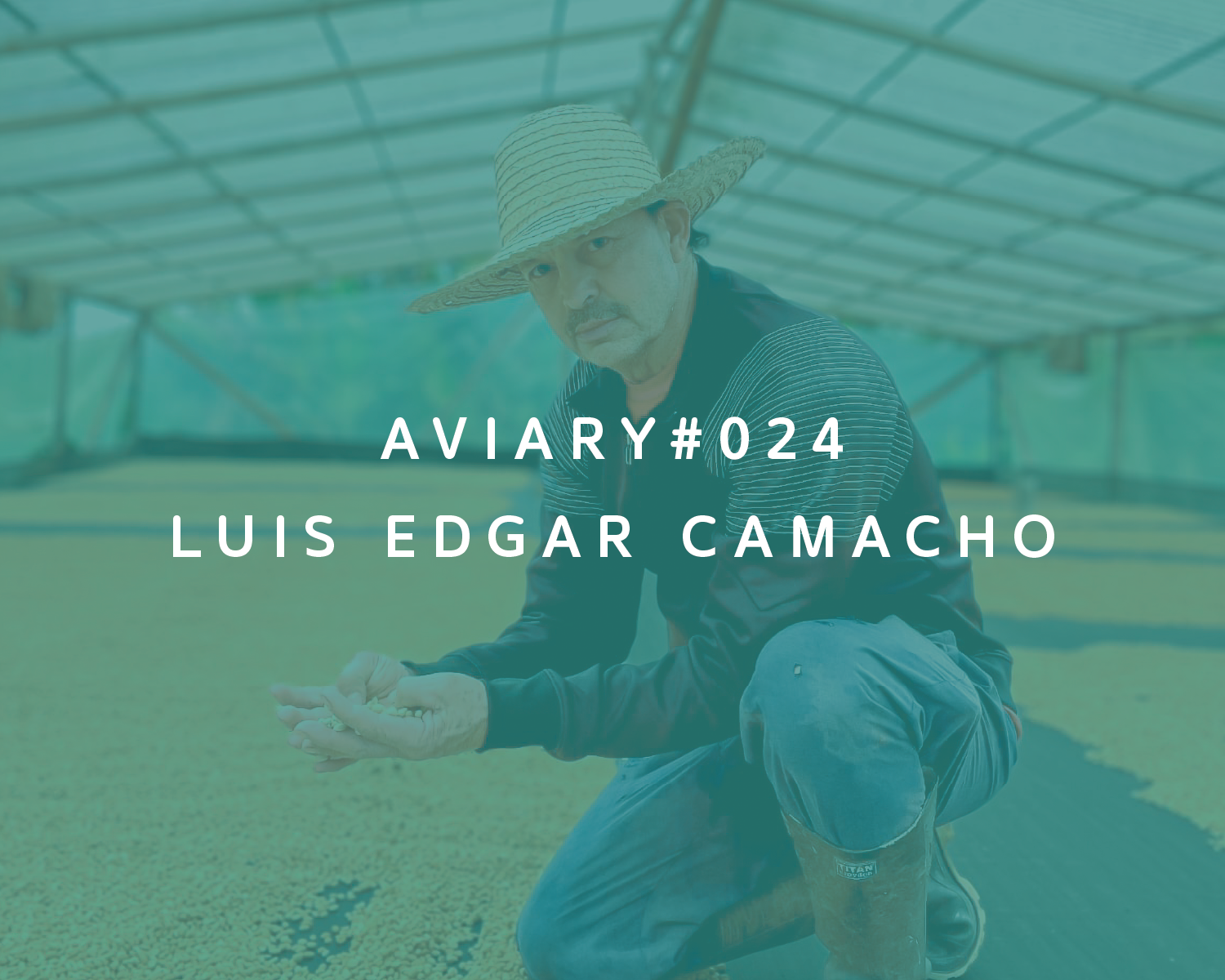 024 - Luis Edgar Camacho