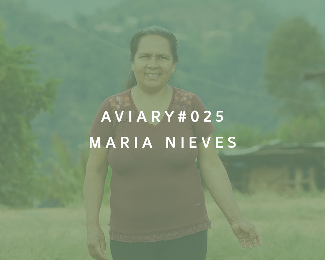 025 - Maria Nieves