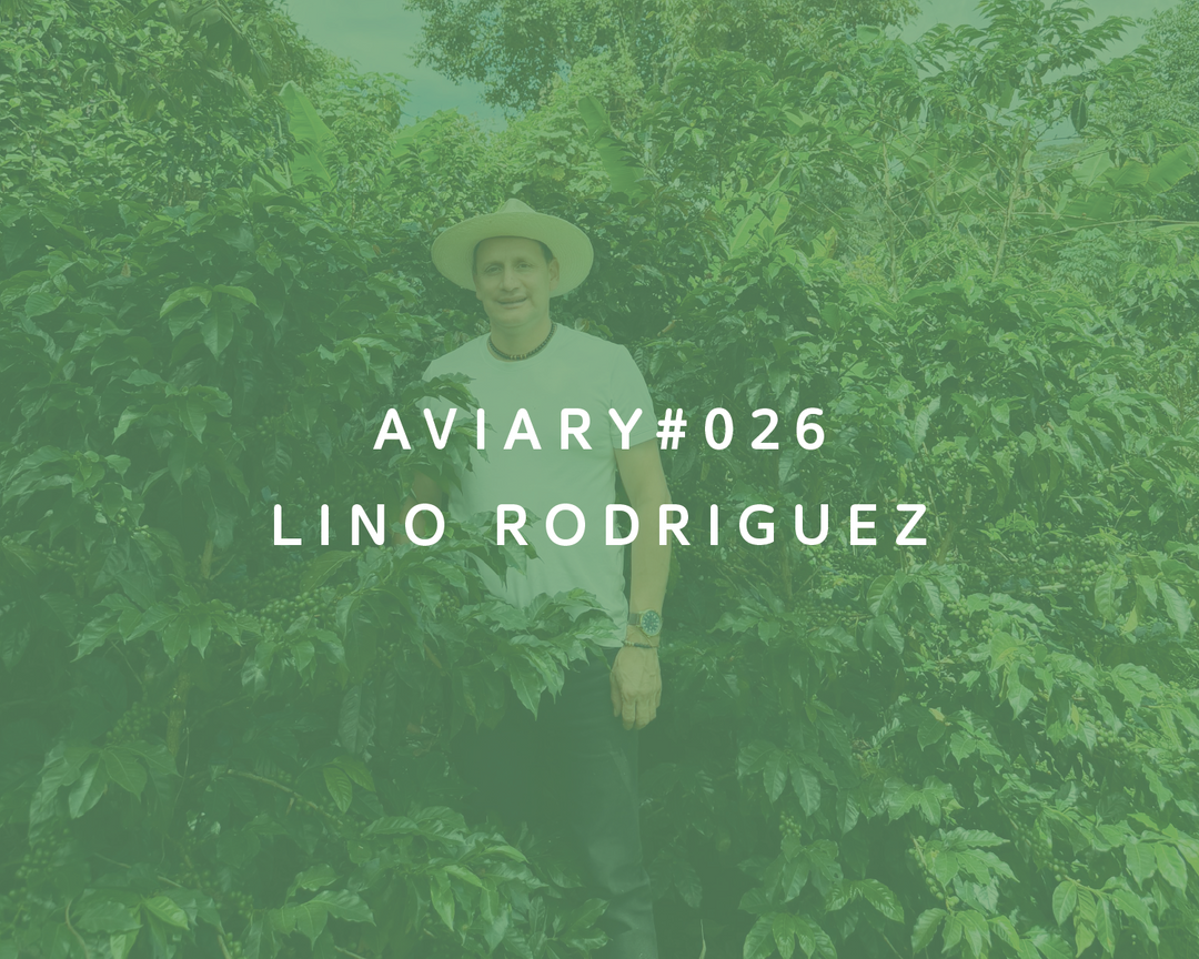 026 - Lino Rodriguez