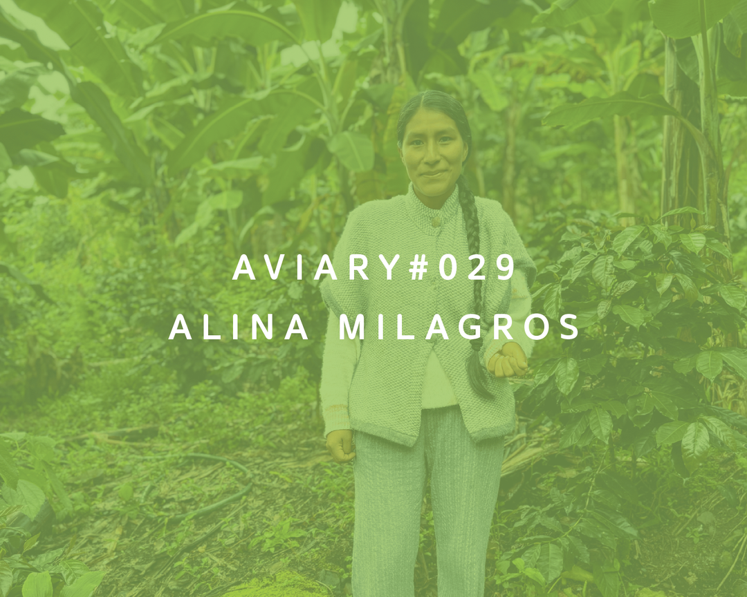 029 - Alina Milagros
