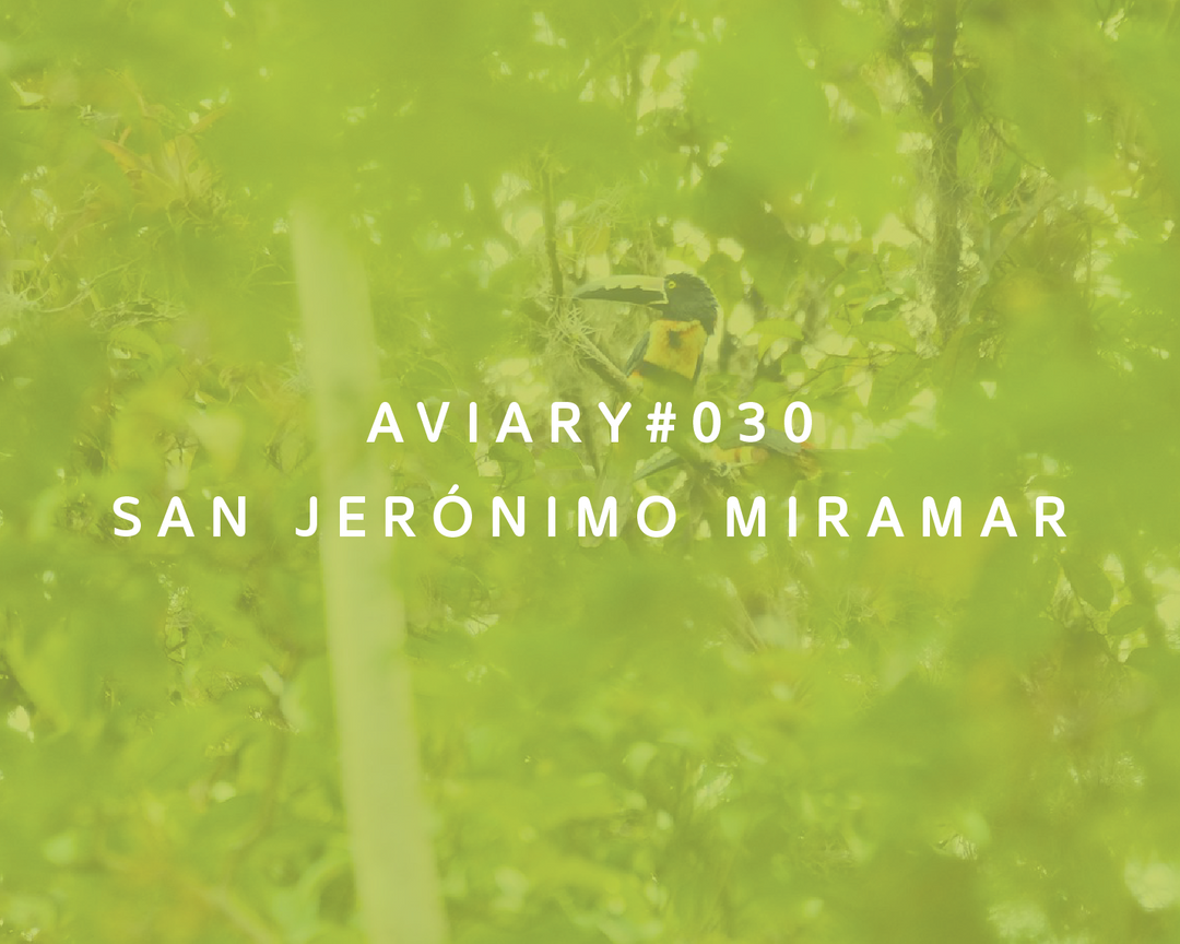 030 - San Jerónimo Miramar