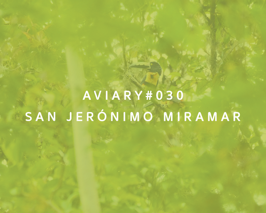 030 - San Jerónimo Miramar