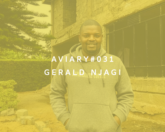 031 - Gerald Njagi