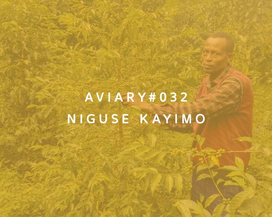 032 - Niguse Kayimo