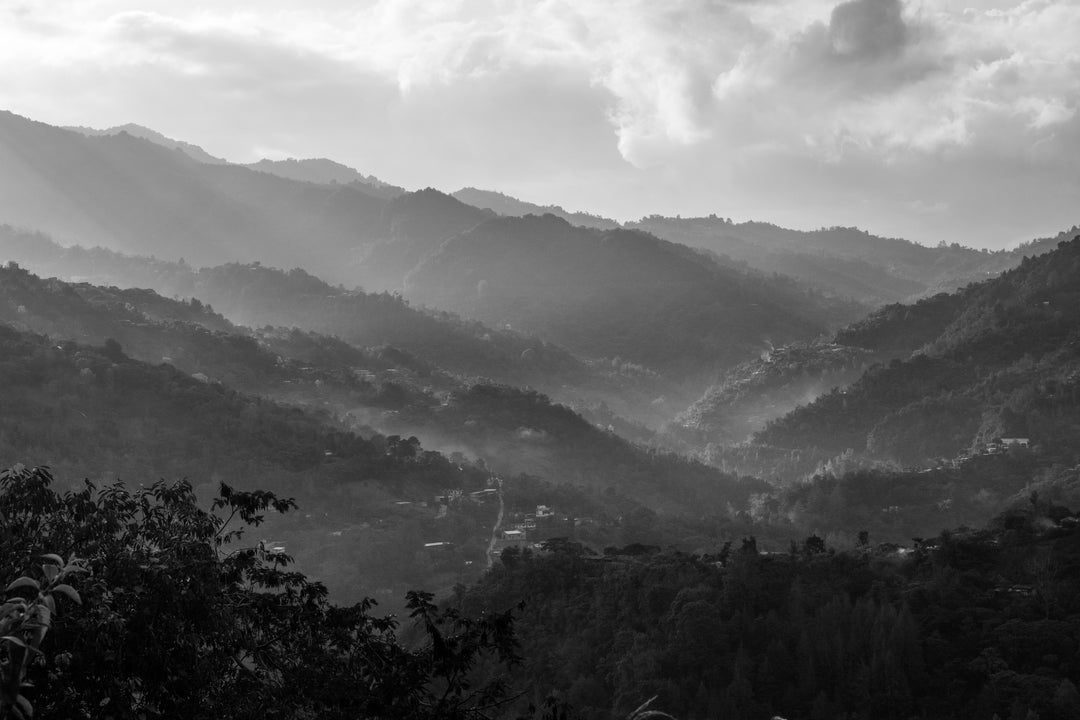 021 - Renato Martinez