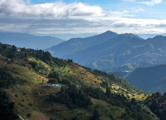 021 - Renato Martinez