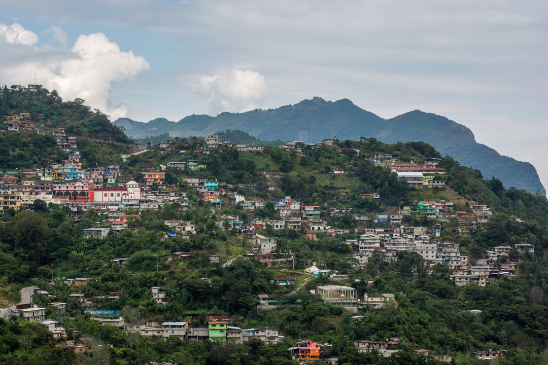 021 - Renato Martinez