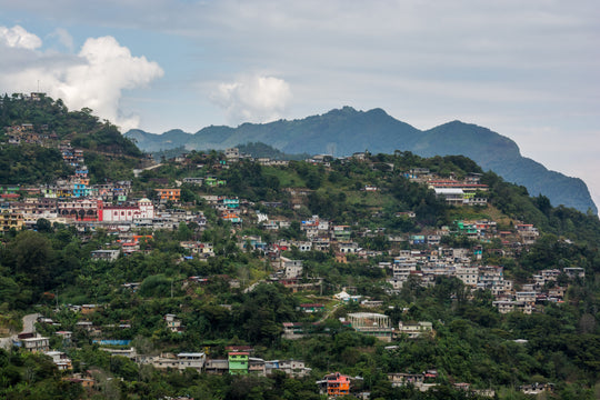 021 - Renato Martinez