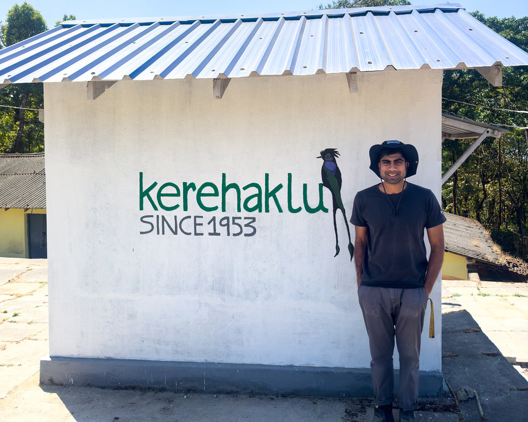 016 - Kerehaklu