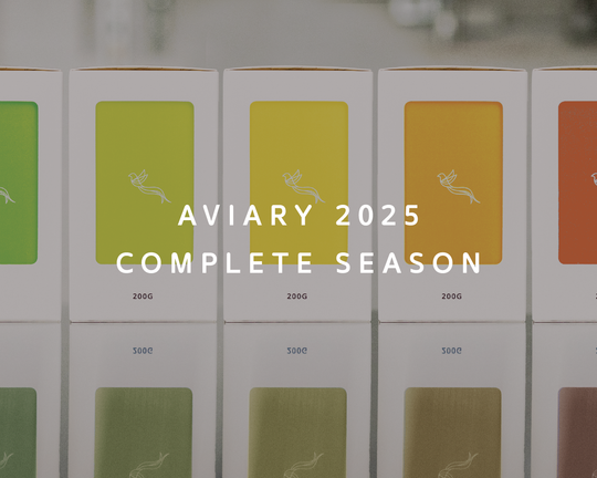 Complete 2025 Season