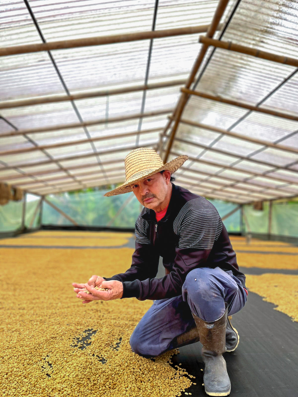 024 - Luis Edgar Camacho