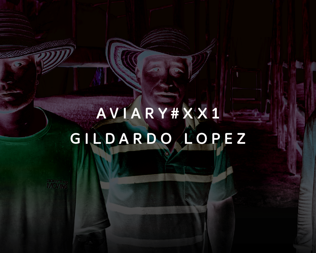 XX1 - Gildardo Lopez