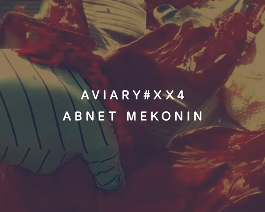 XX4 - Abnet Mekonin