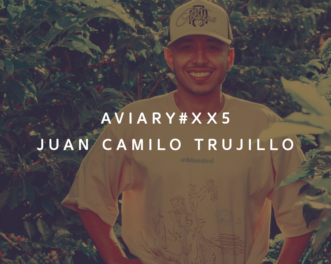 XX5 - Juan Camilo Trujillo: Raise the Bar