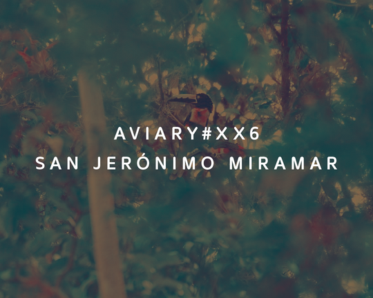 XX6 - San Jerónimo Miramar